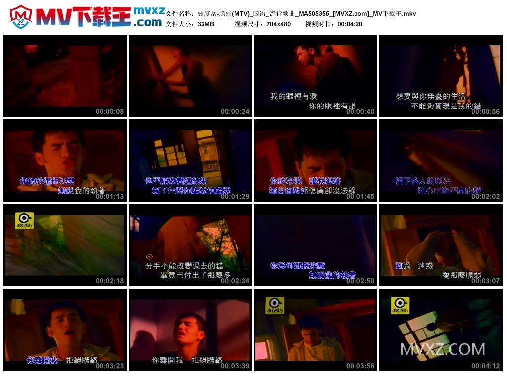 张震岳-脆弱(MTV)_国语_流行歌曲_MA505355